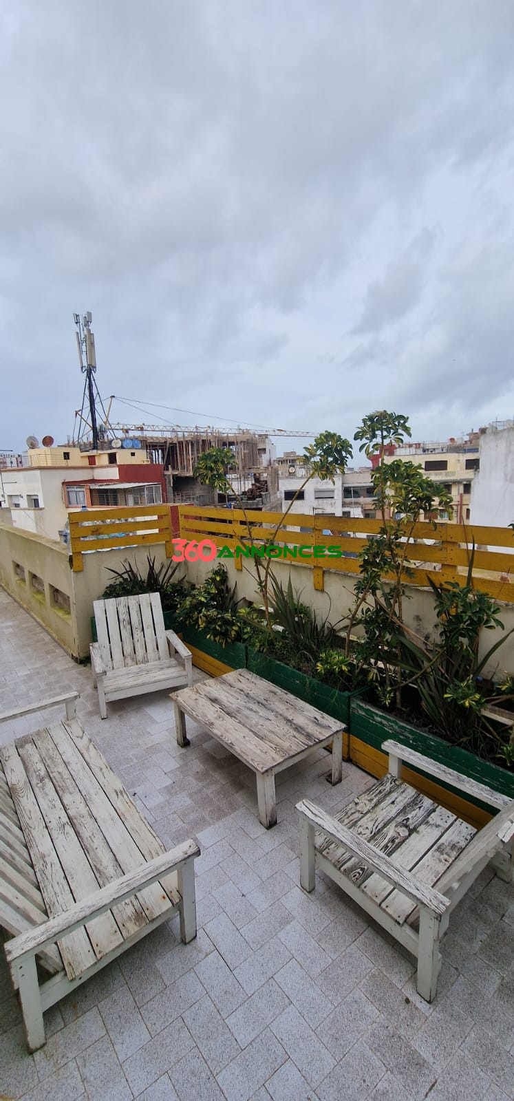 Image Properties Mobile