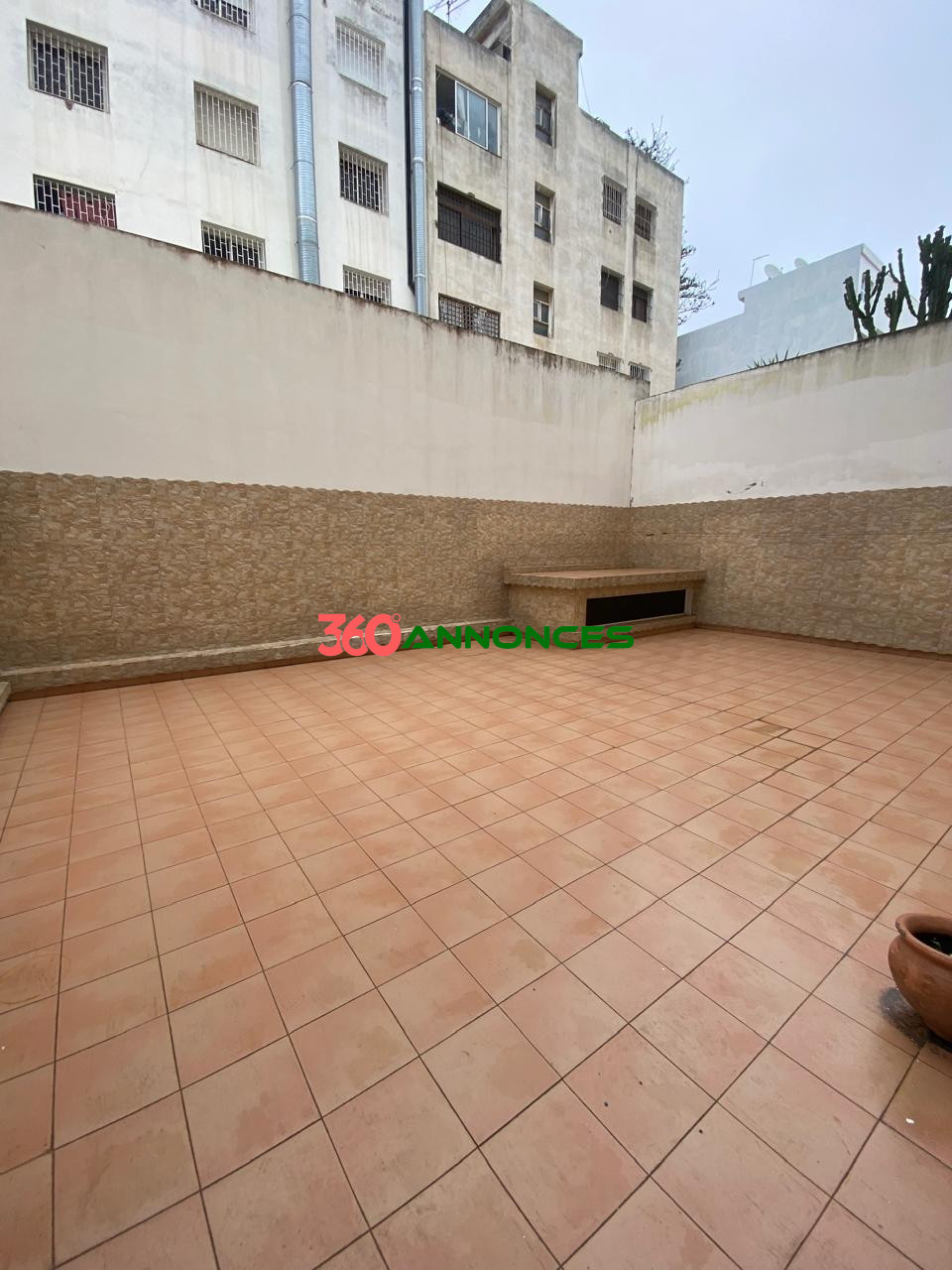 Image Properties Mobile