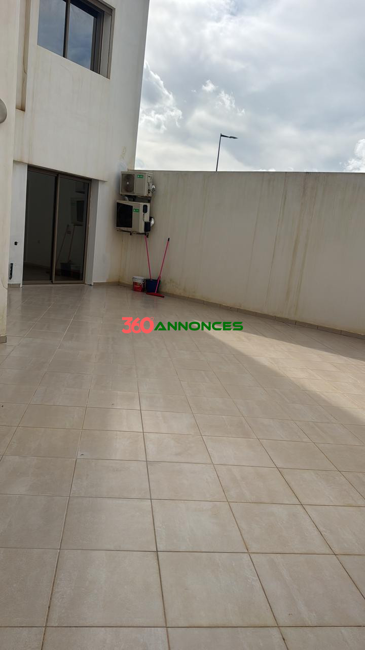 Image Properties Mobile