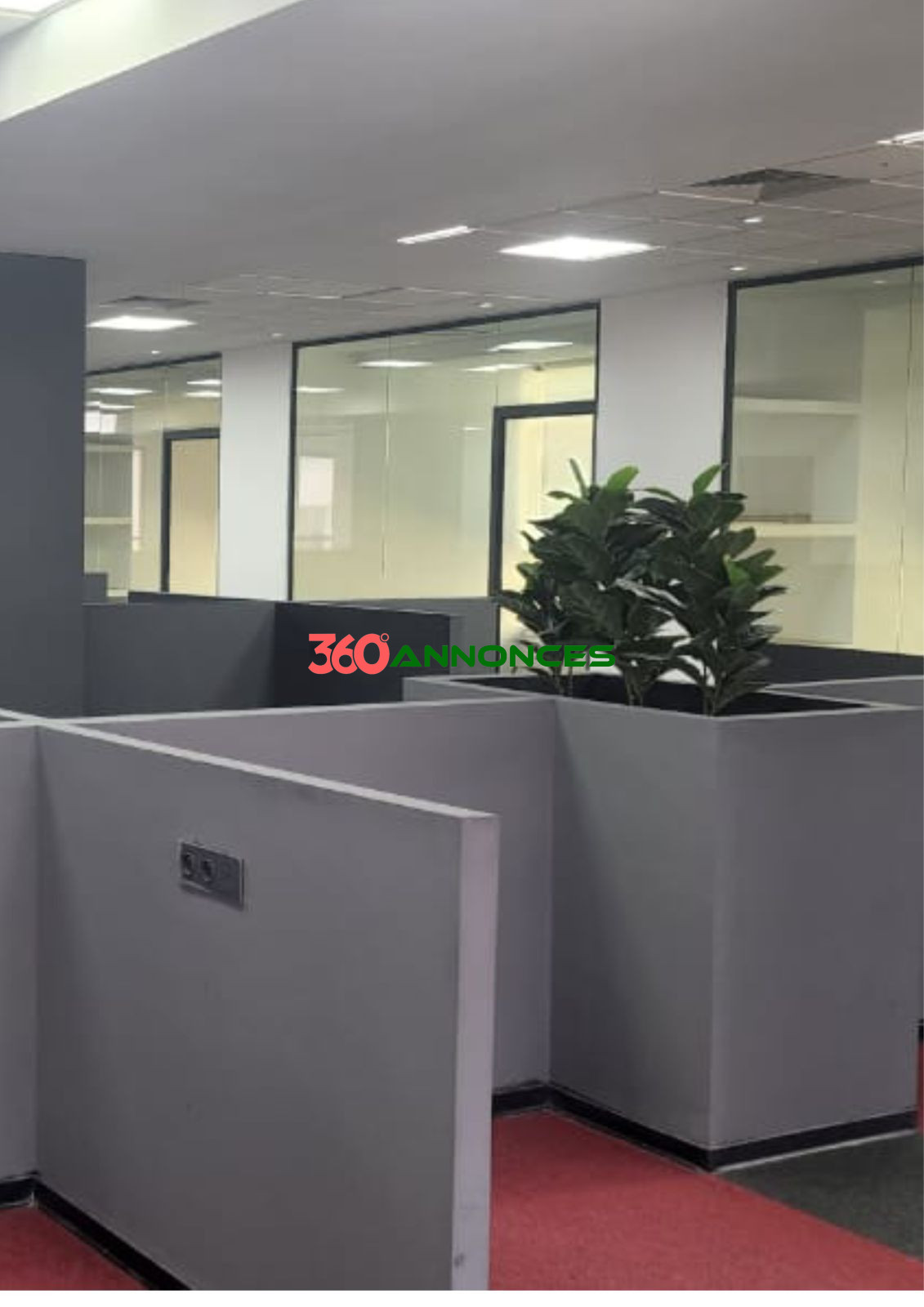 Image Properties Mobile