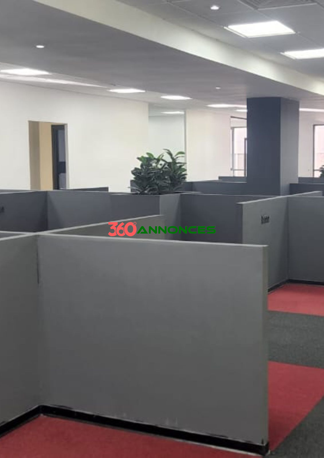 Image Properties Mobile