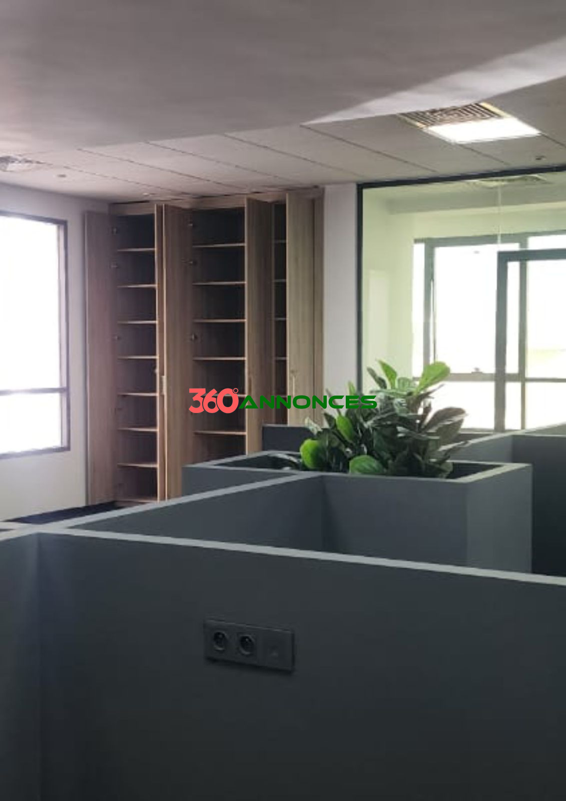 Image Properties Mobile