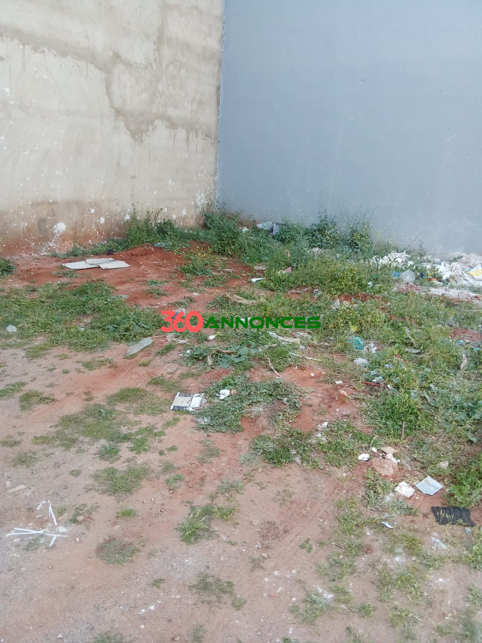 Image Properties Mobile