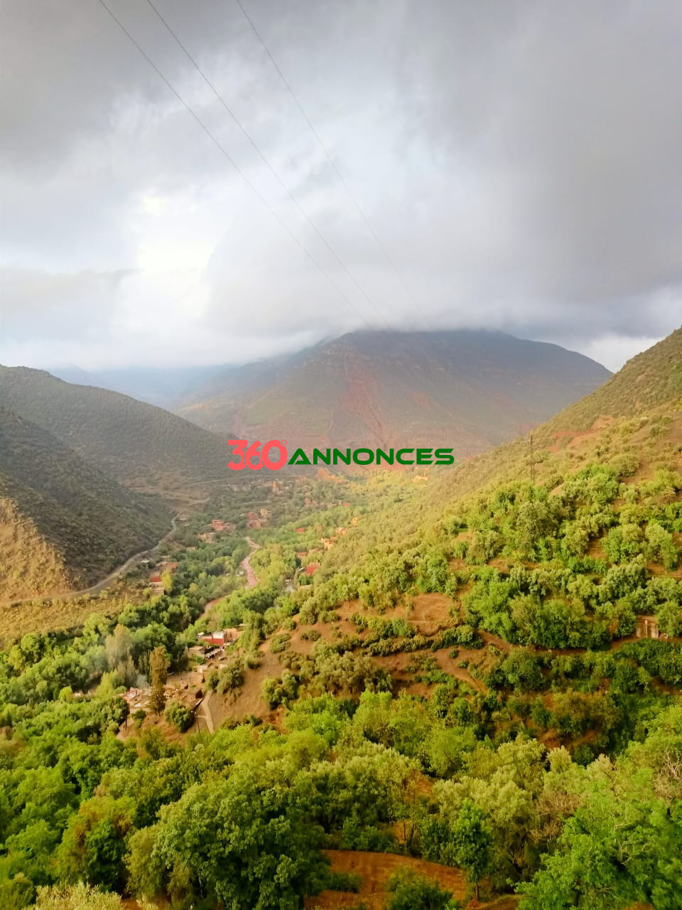 Image Properties Mobile