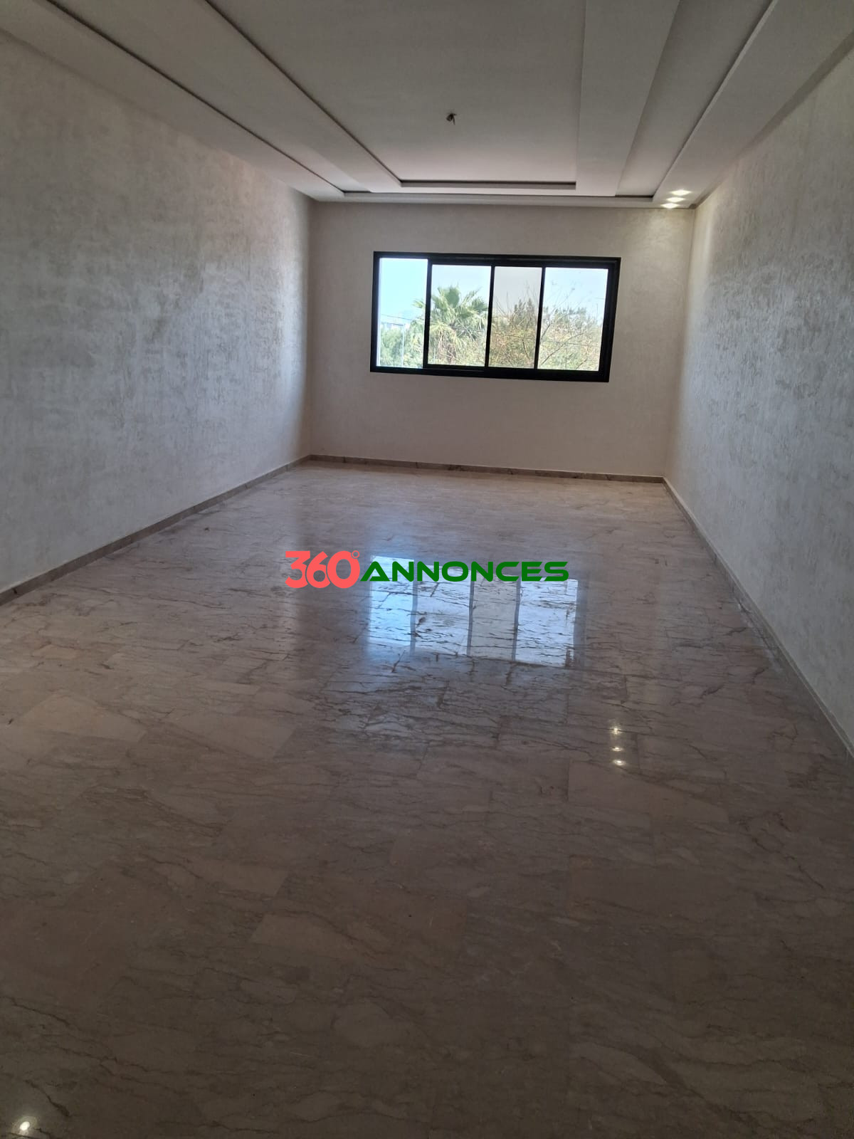 Image Properties Mobile