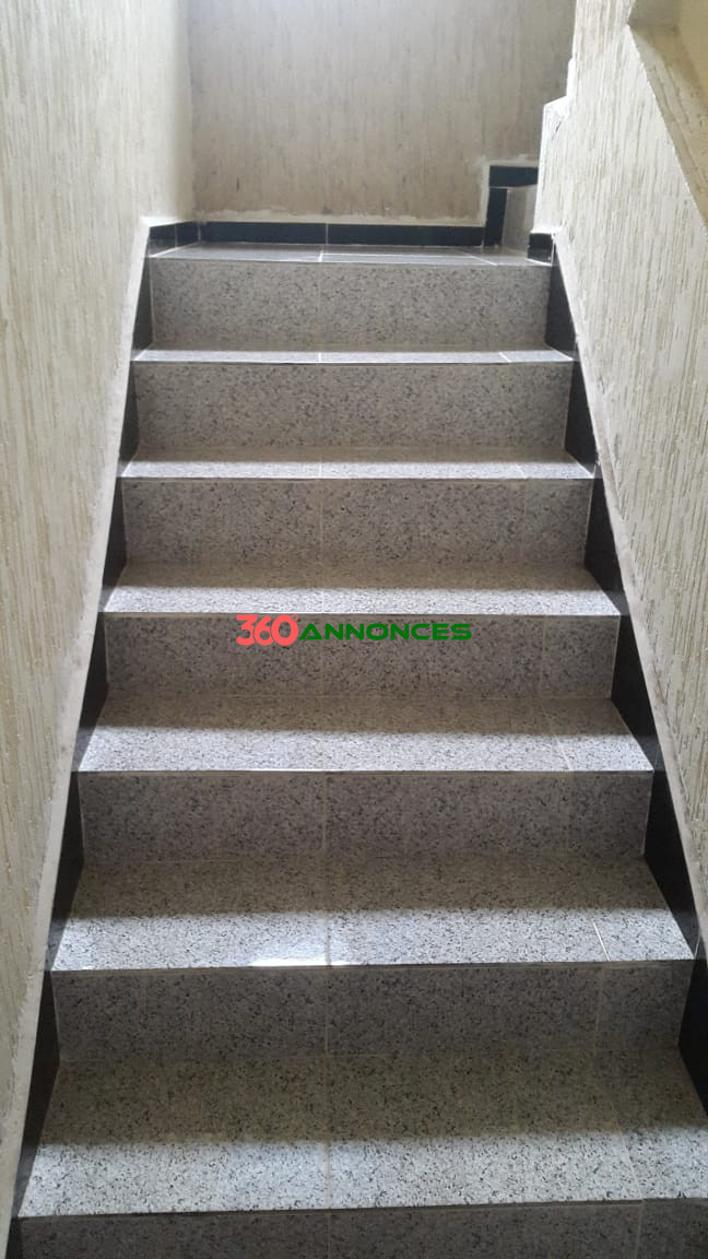 Image Properties Mobile