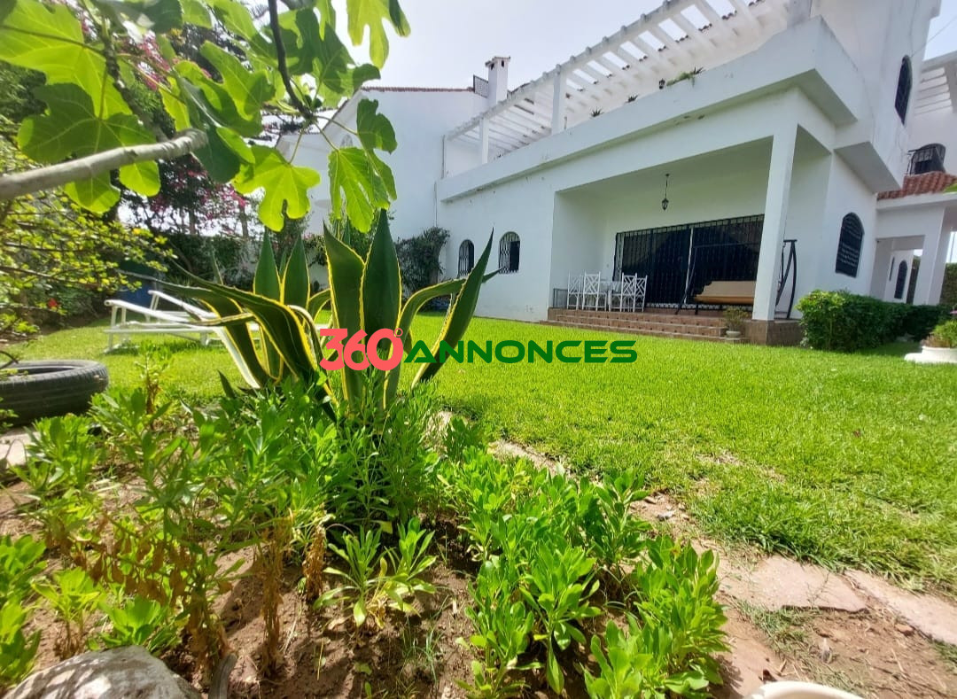 Image Properties Mobile