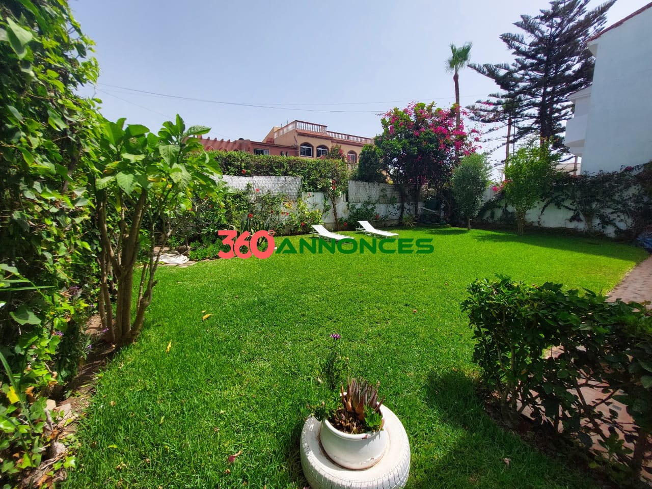 Image Properties Mobile