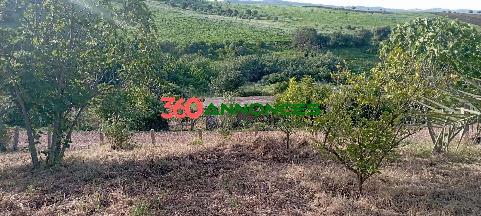 Image Properties Mobile