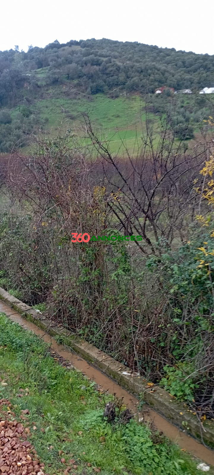 Image Properties Mobile