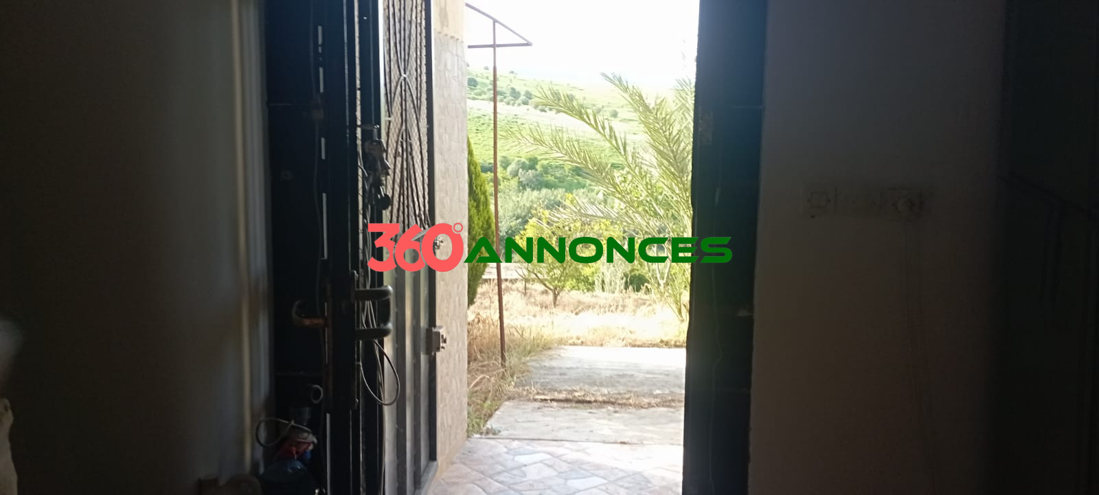 Image Properties Mobile