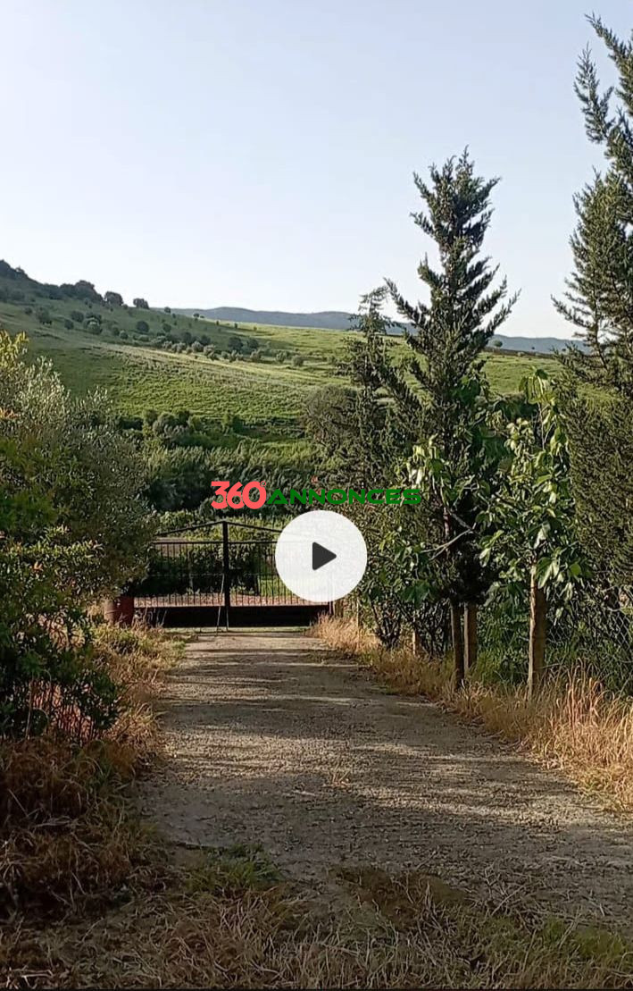 Image Properties Mobile