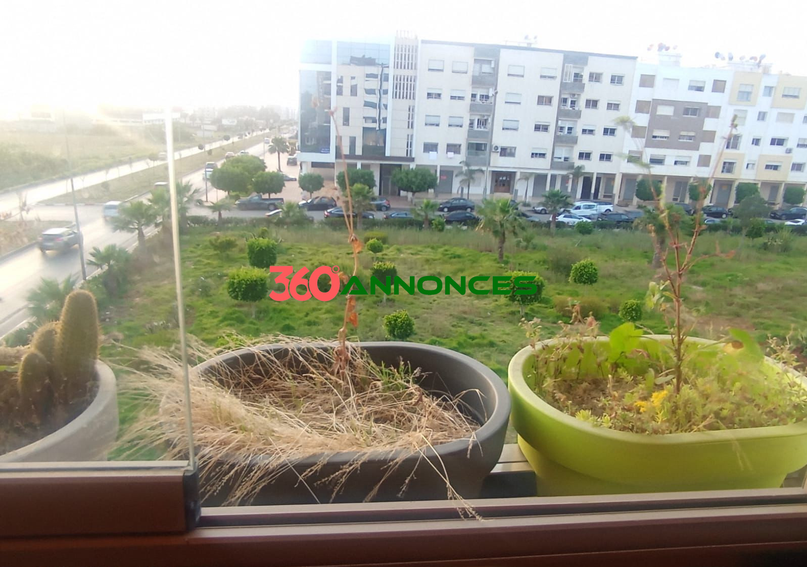 Image Properties Mobile