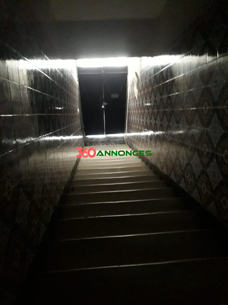 Image Properties Mobile