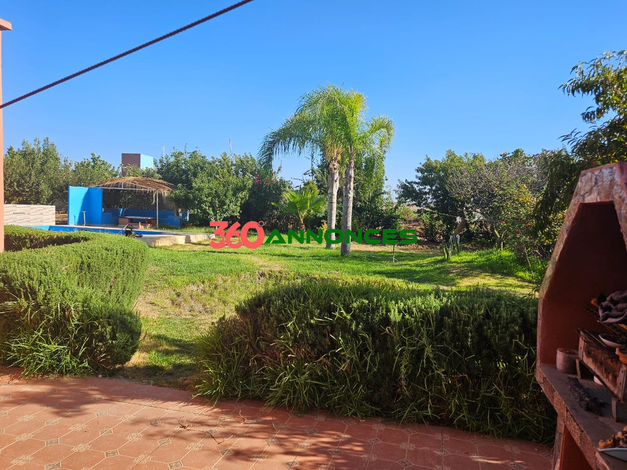 Image Properties Mobile