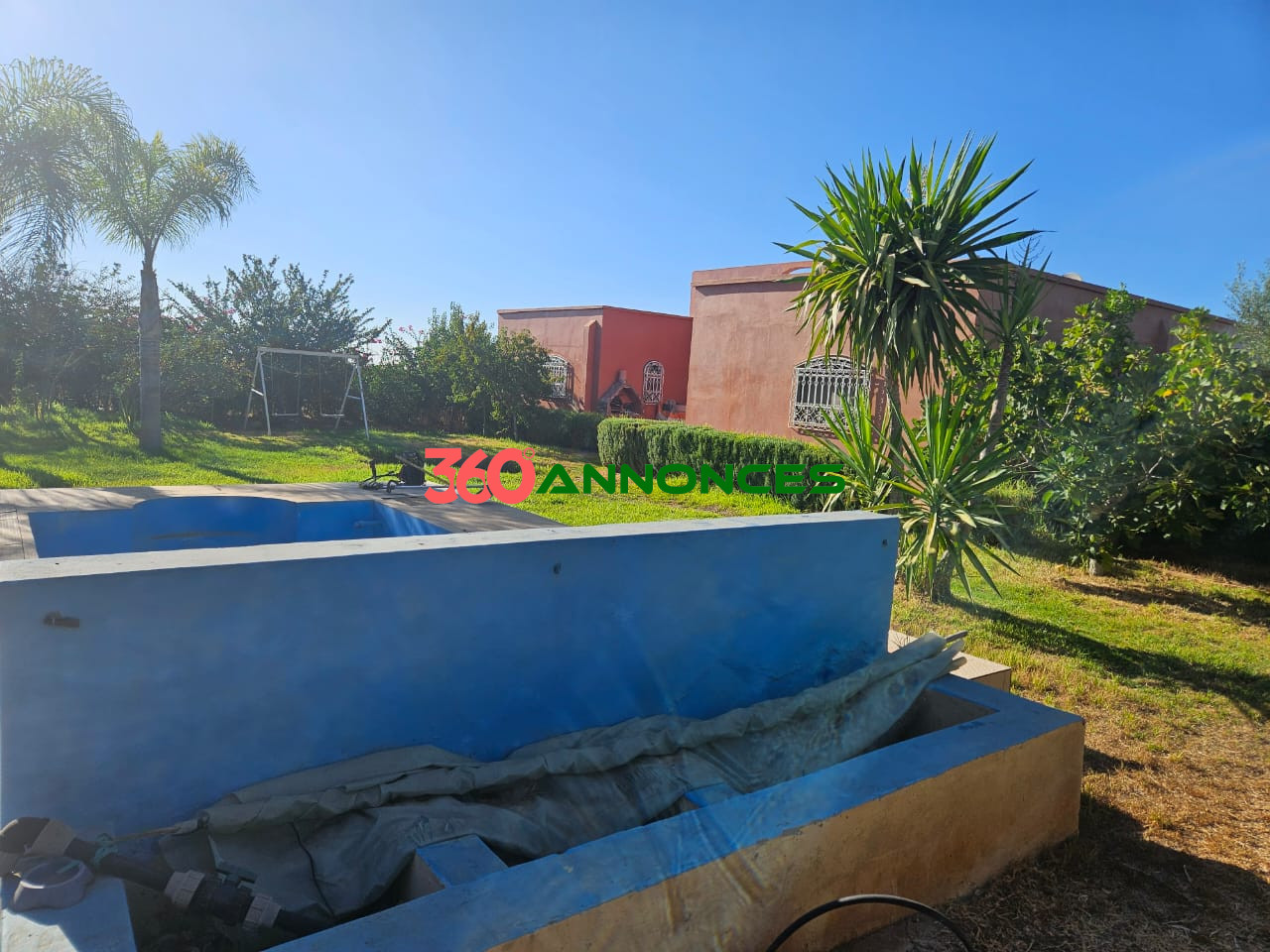 Image Properties Mobile