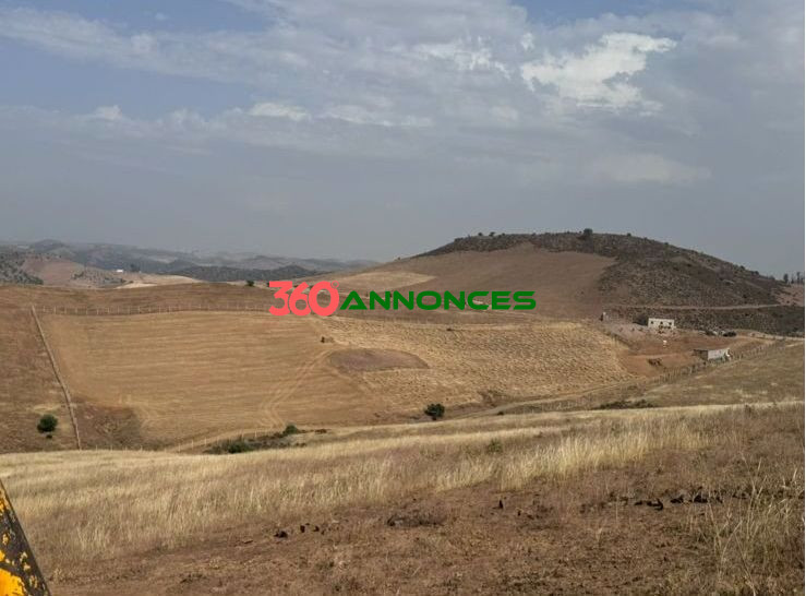 Image Properties Mobile