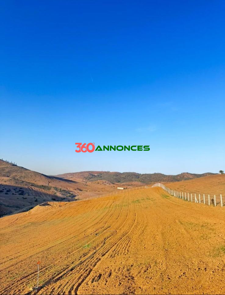 Image Properties Mobile