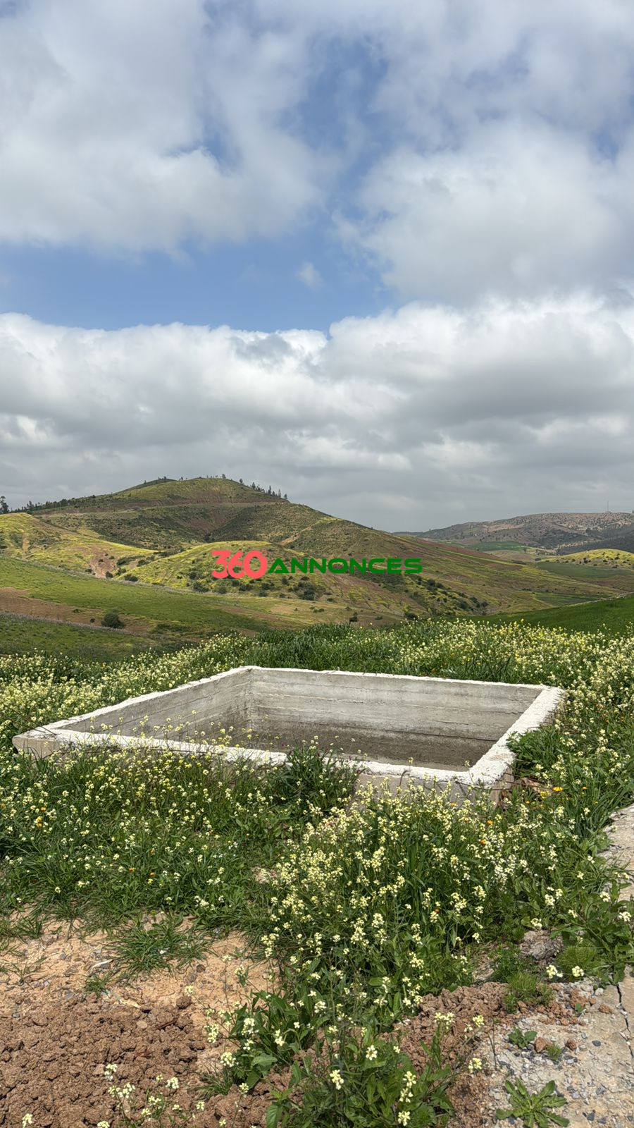 Image Properties Mobile