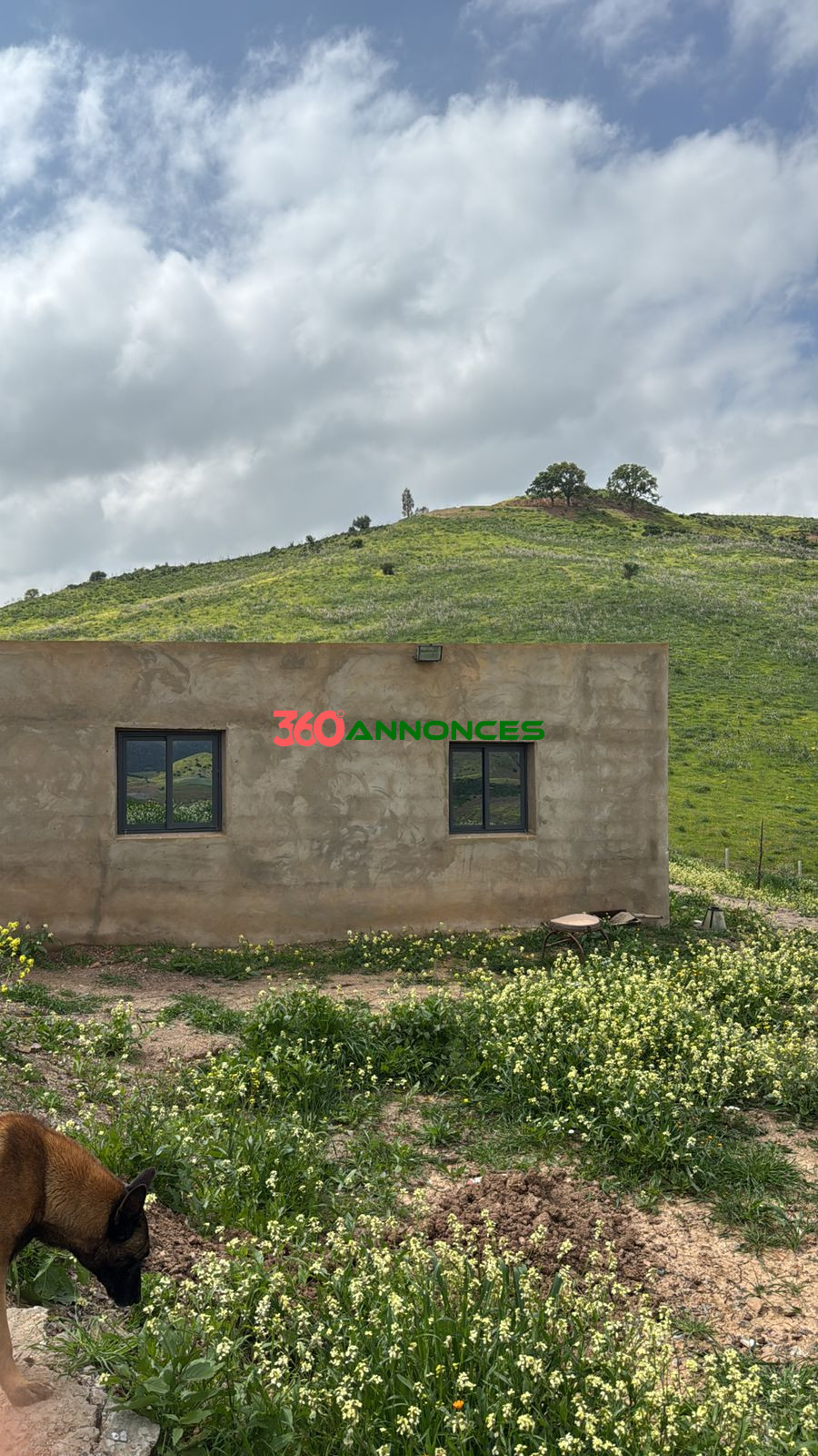 Image Properties Mobile