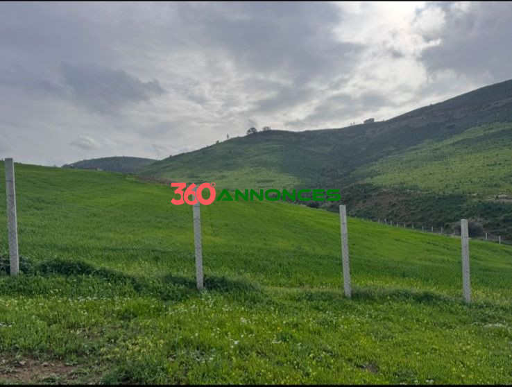 Image Properties Mobile