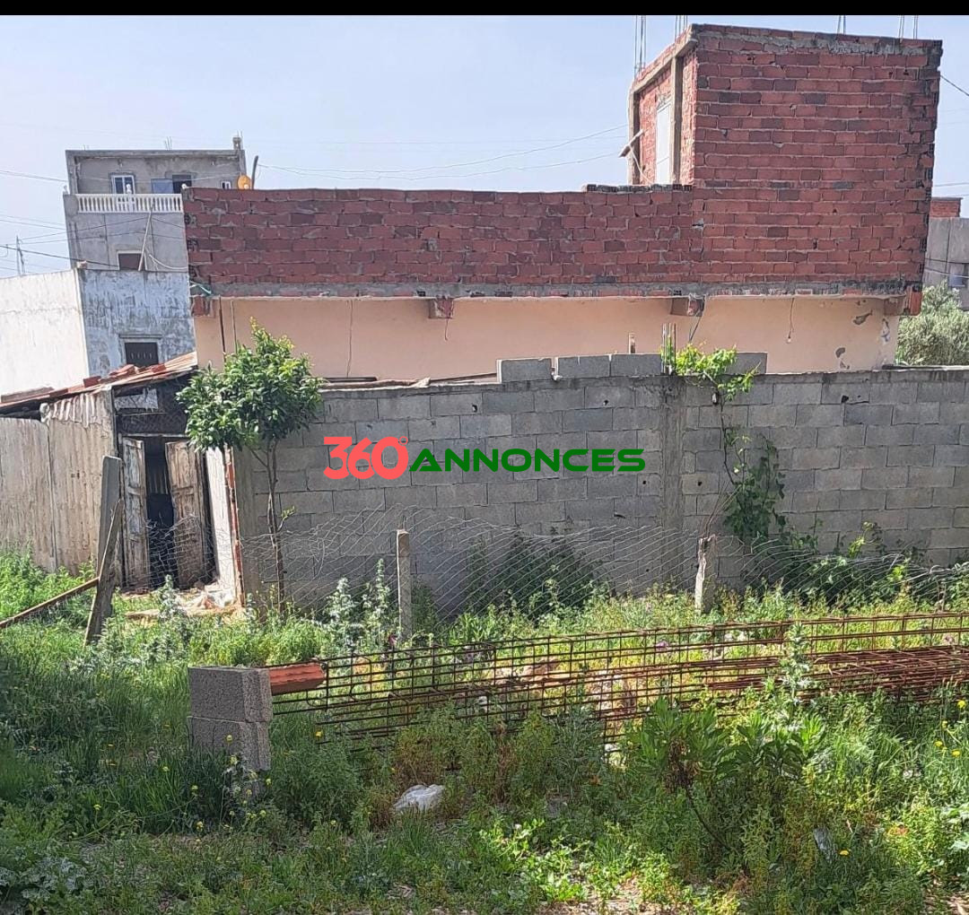 Image Properties Mobile