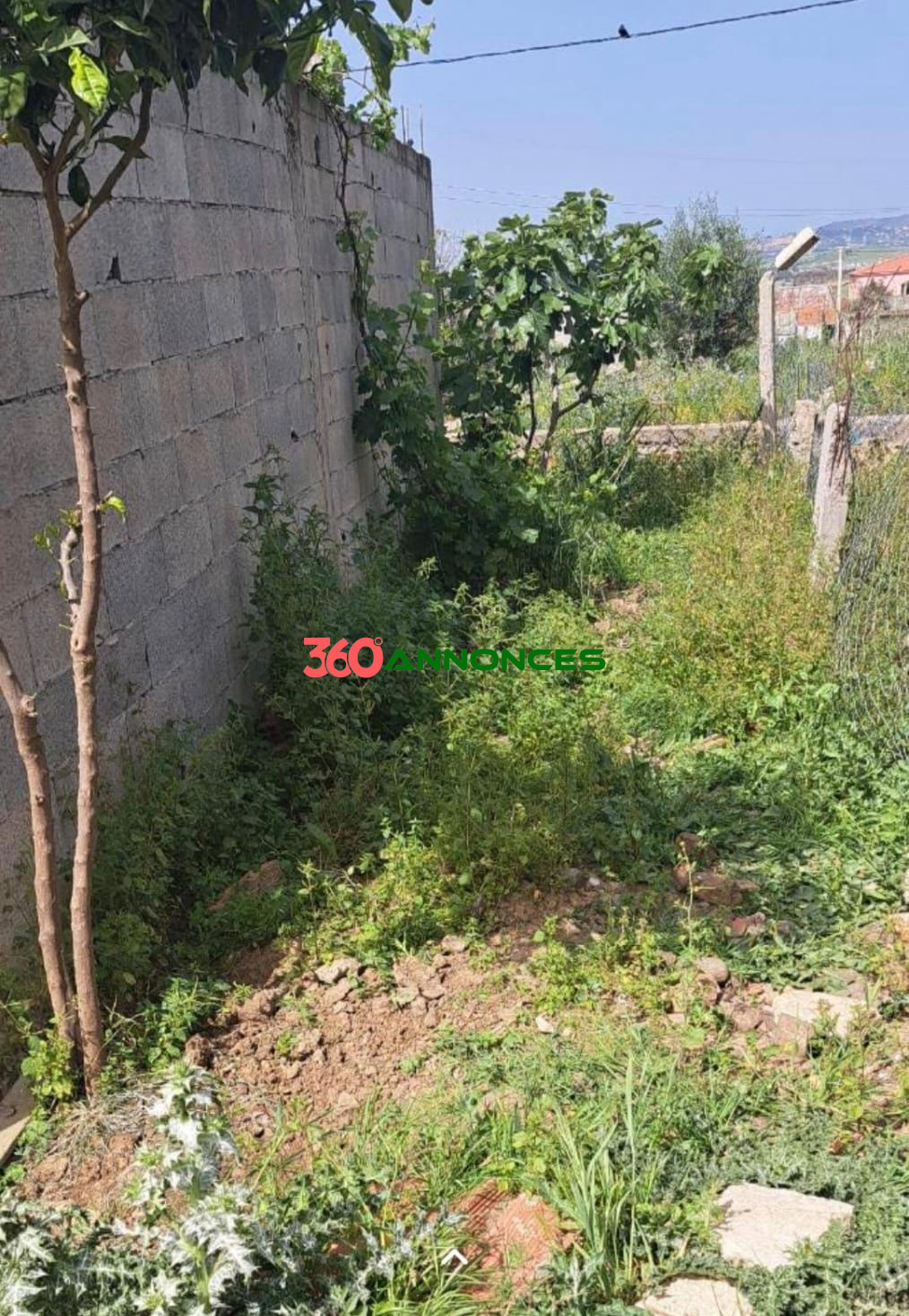 Image Properties Mobile