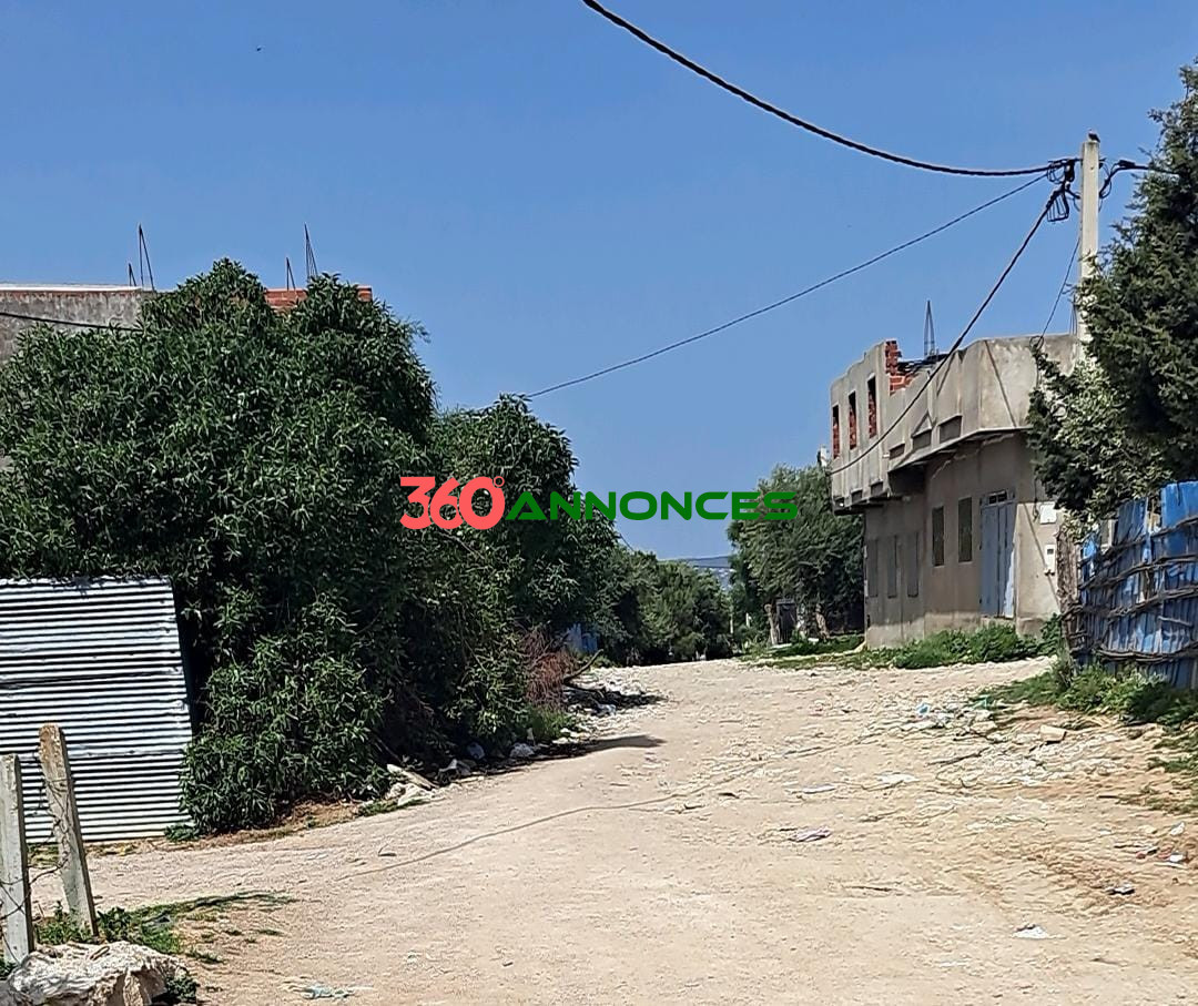 Image Properties Mobile