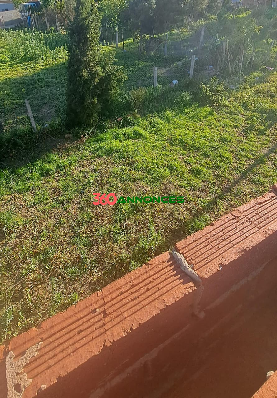 Image Properties Mobile