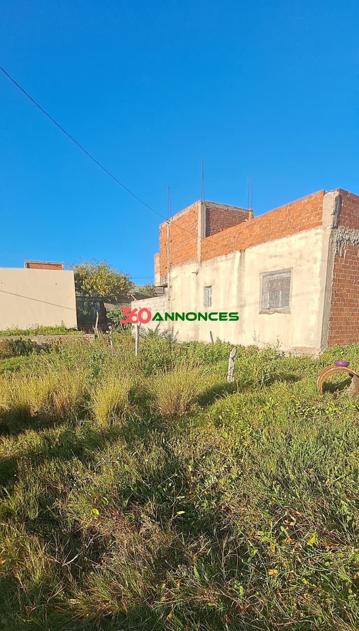 Image Properties Mobile