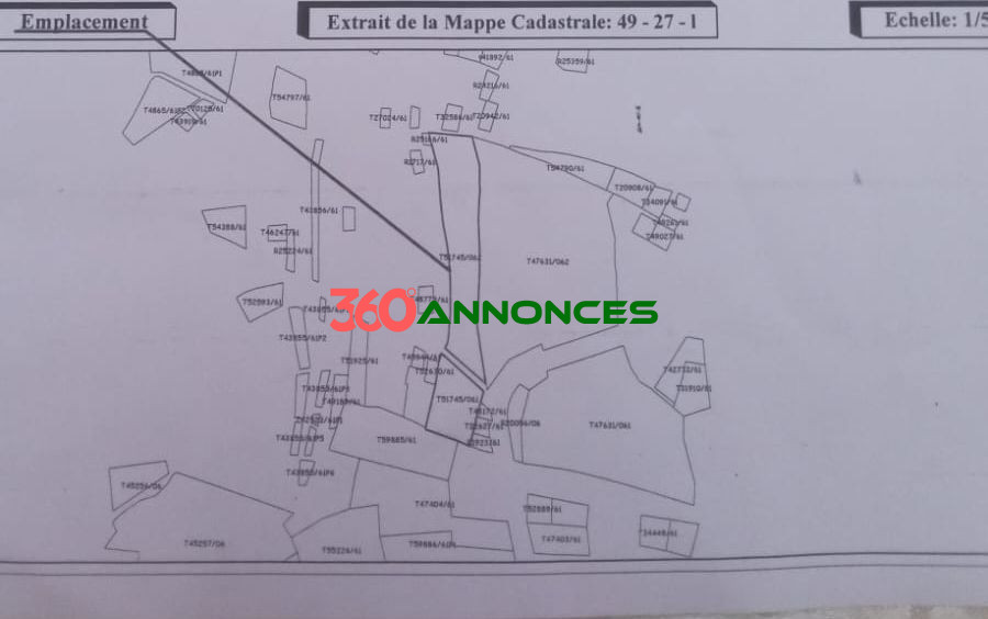 Image Properties Mobile