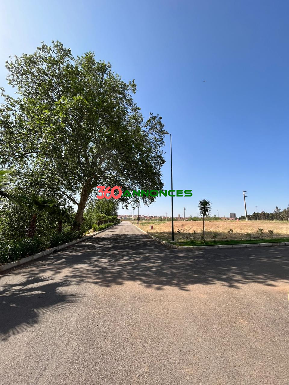 Image Properties Mobile