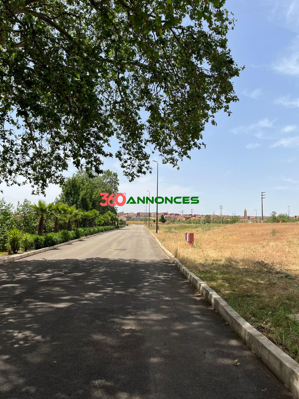 Image Properties Mobile