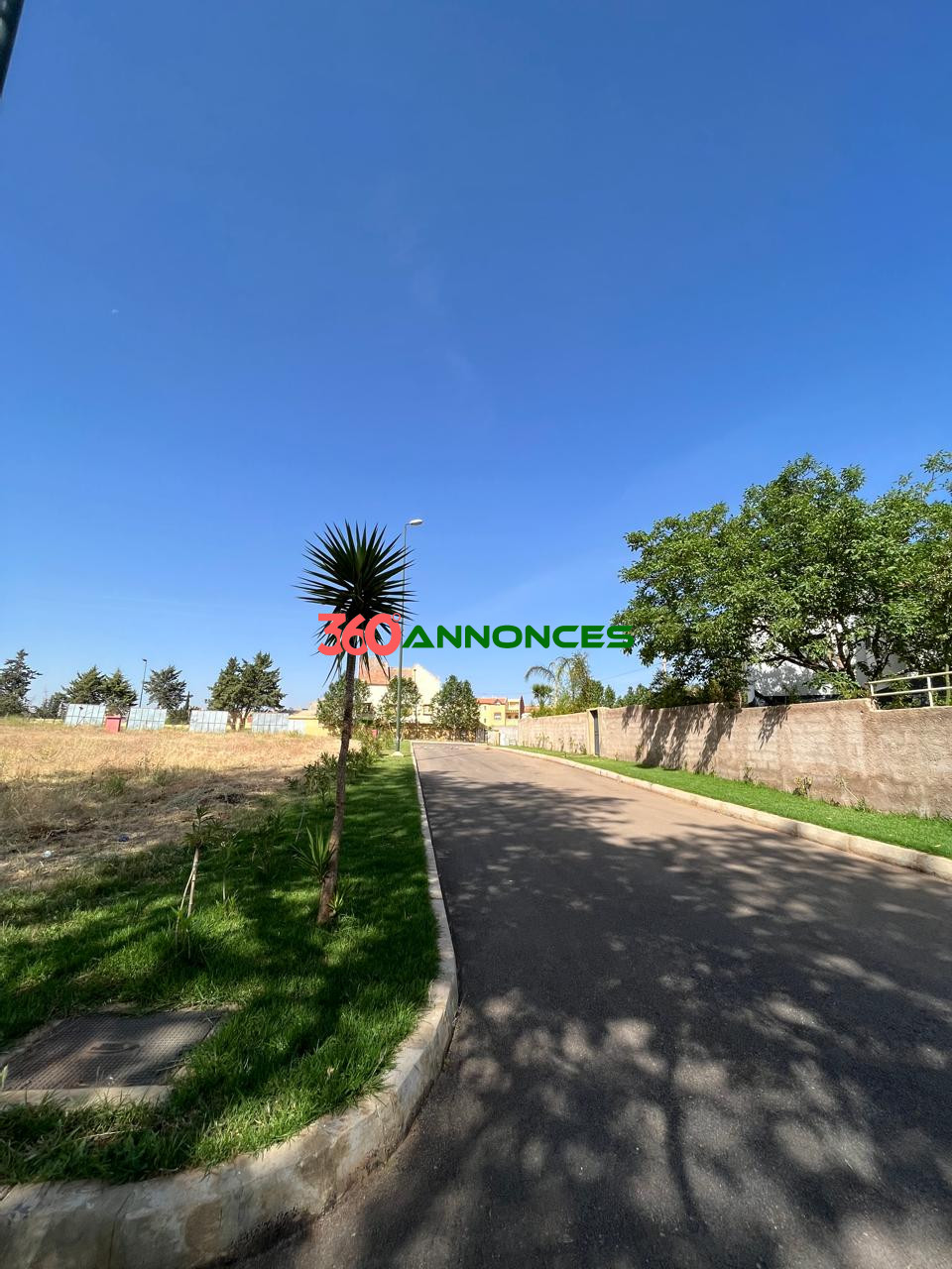 Image Properties Mobile