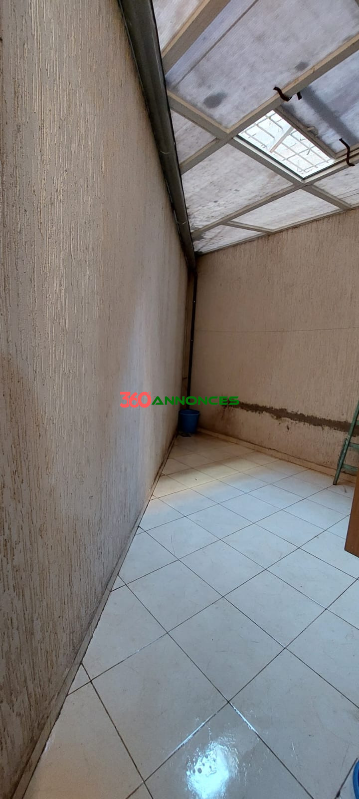 Image Properties Mobile