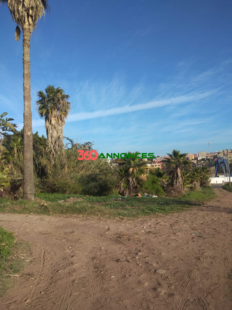 Image Properties Mobile