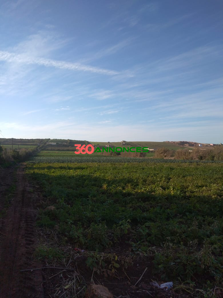 Image Properties Mobile
