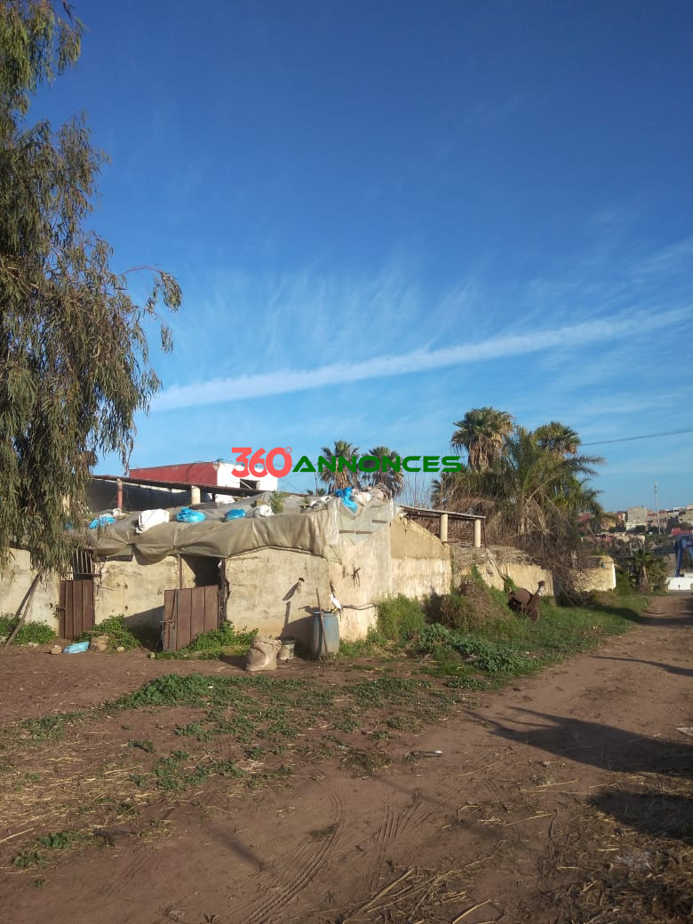 Image Properties Mobile