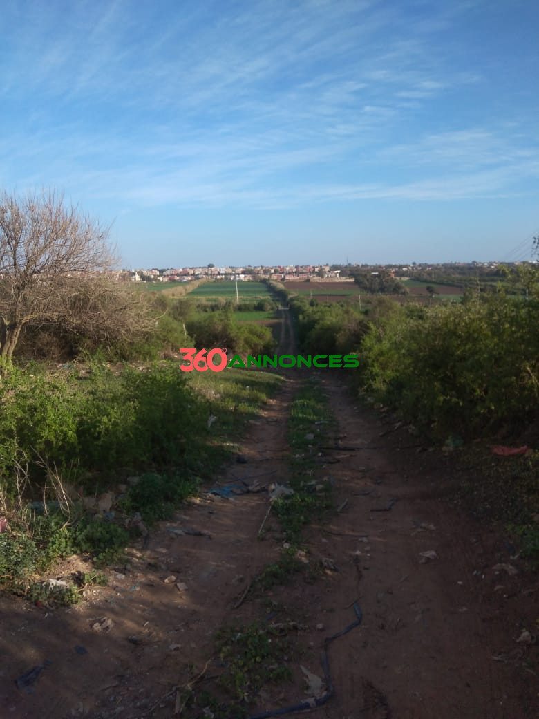 Image Properties Mobile