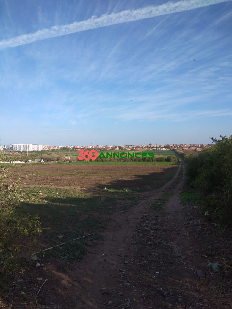 Image Properties Mobile