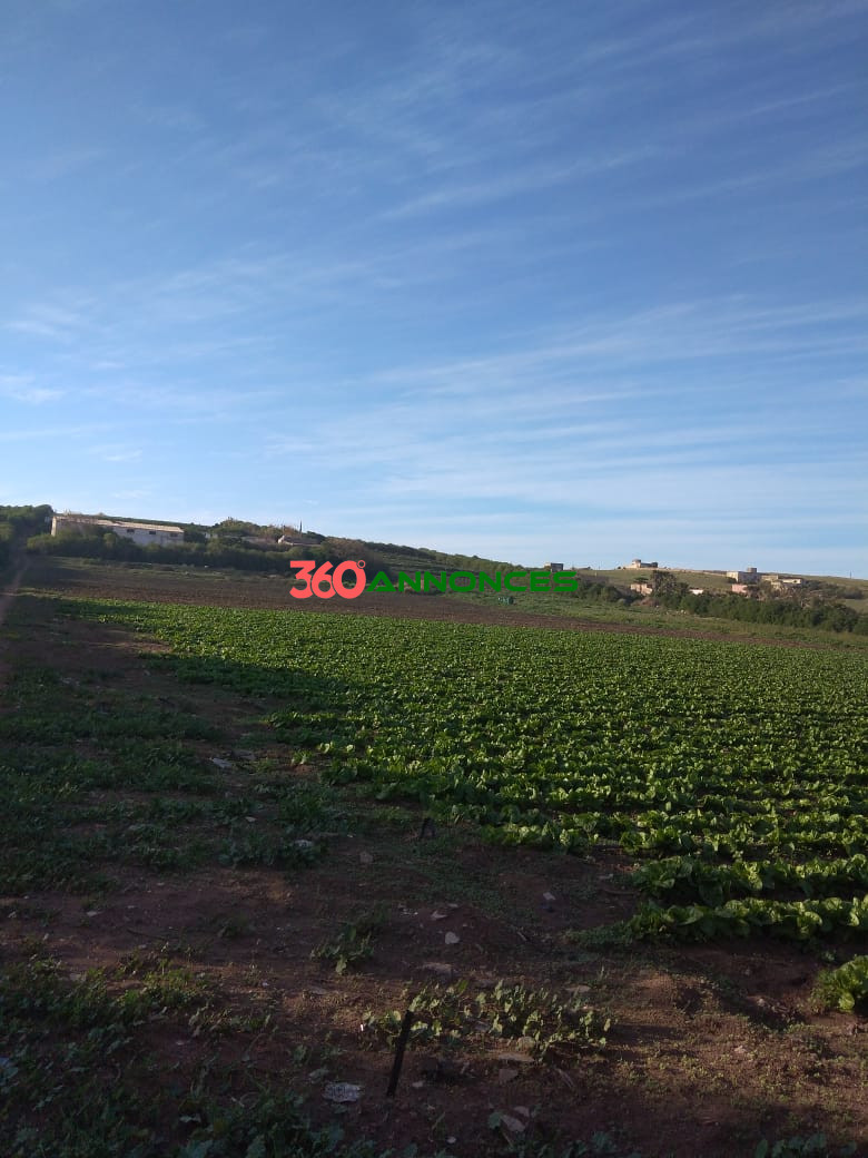 Image Properties Mobile