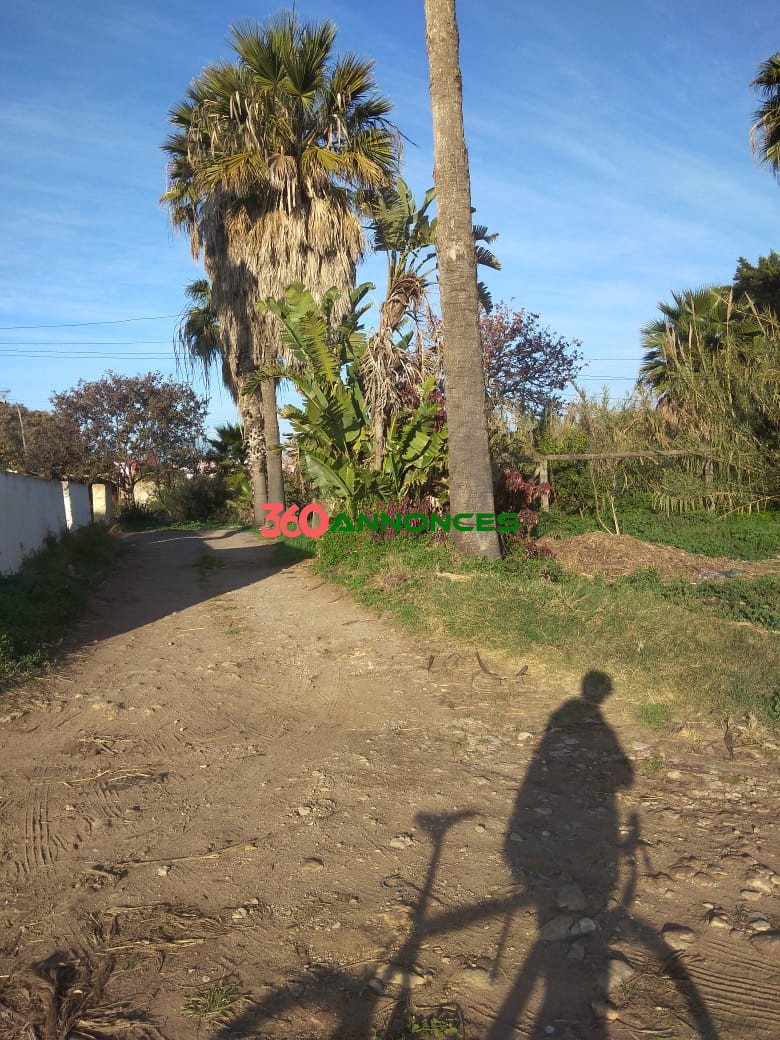 Image Properties Mobile