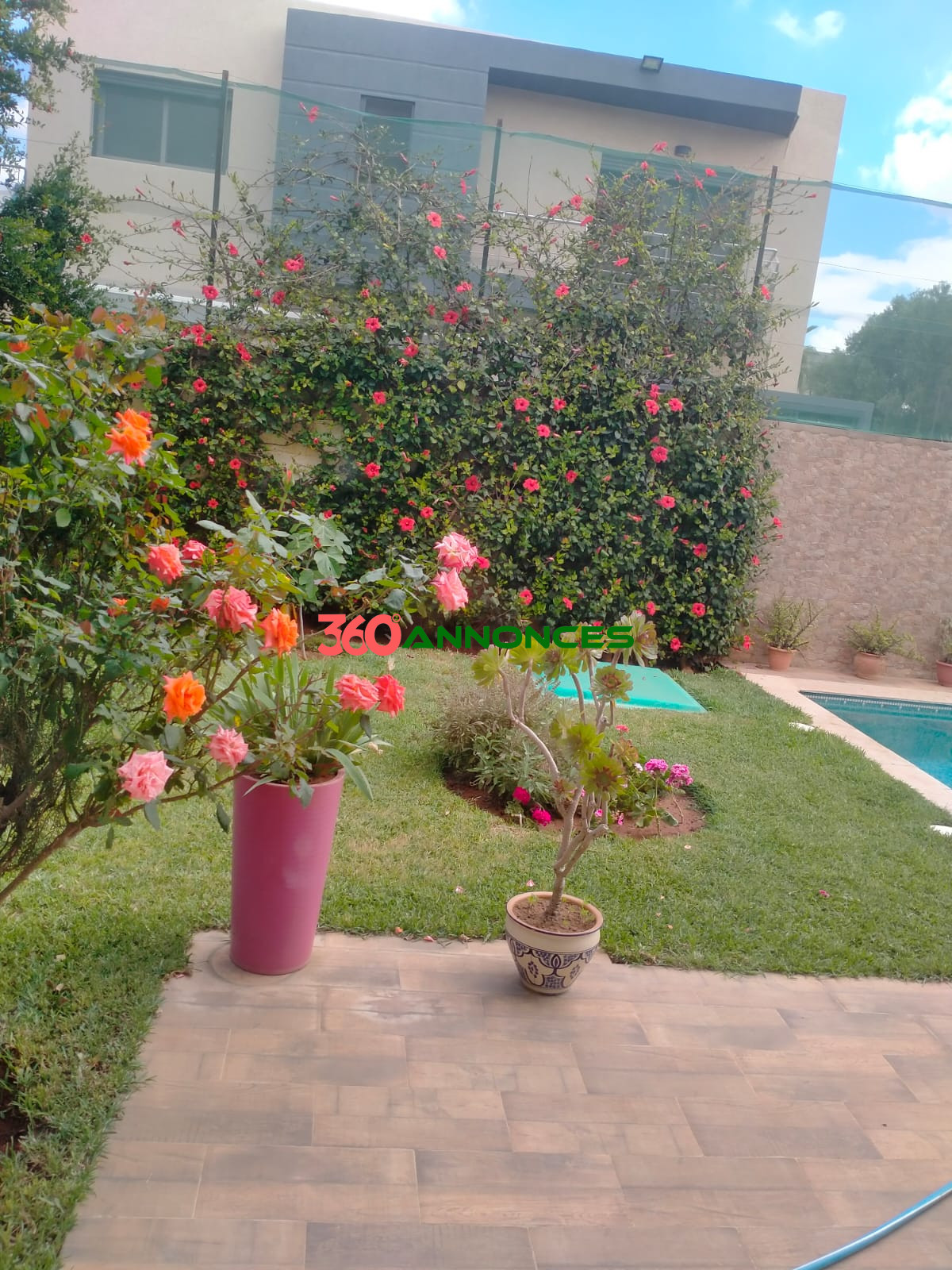 Image Properties Mobile
