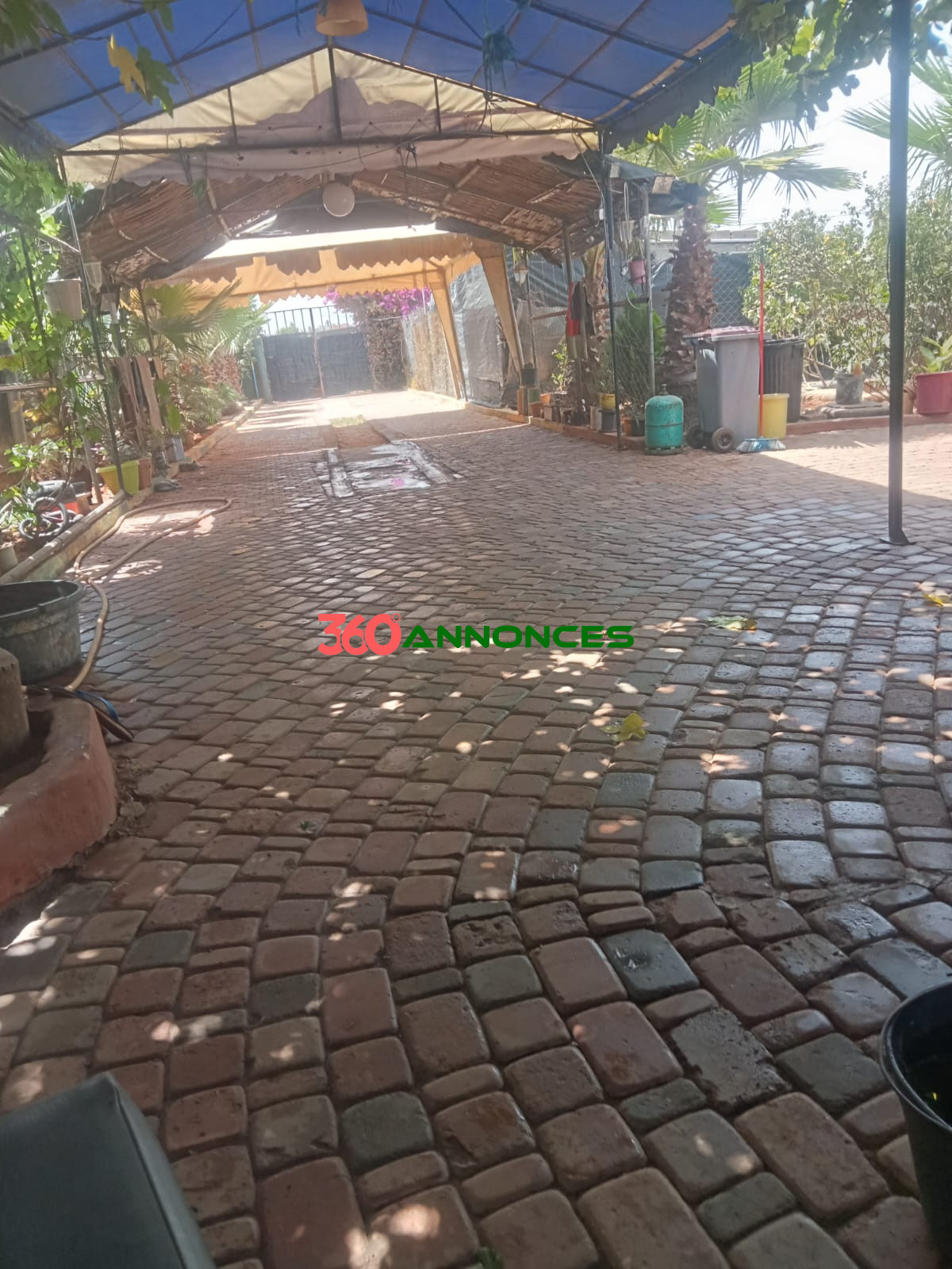 Image Properties Mobile