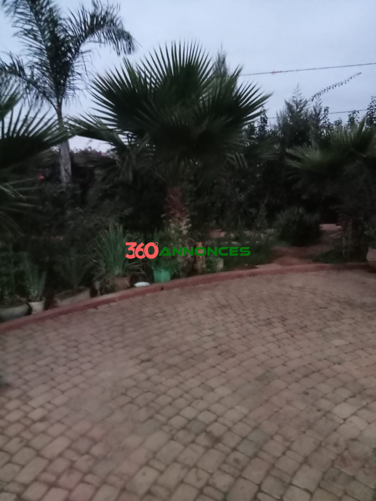 Image Properties Mobile