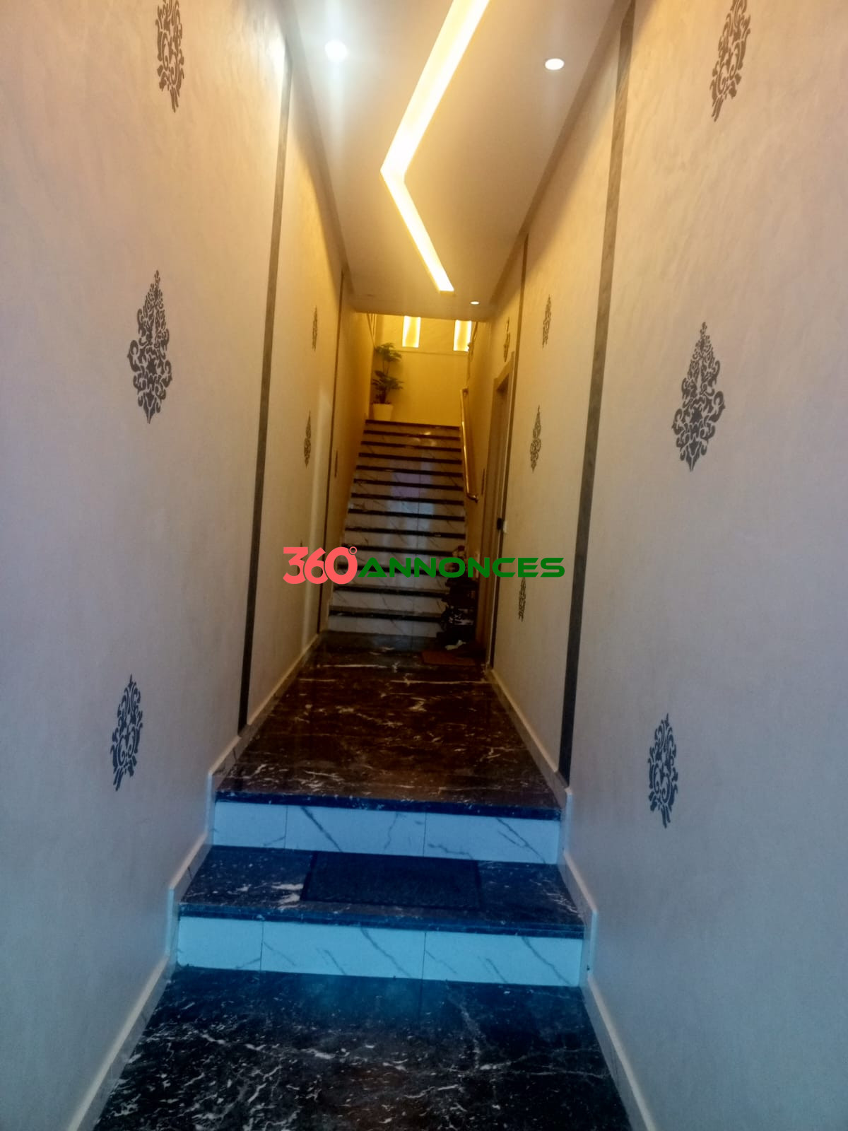 Image Properties Mobile