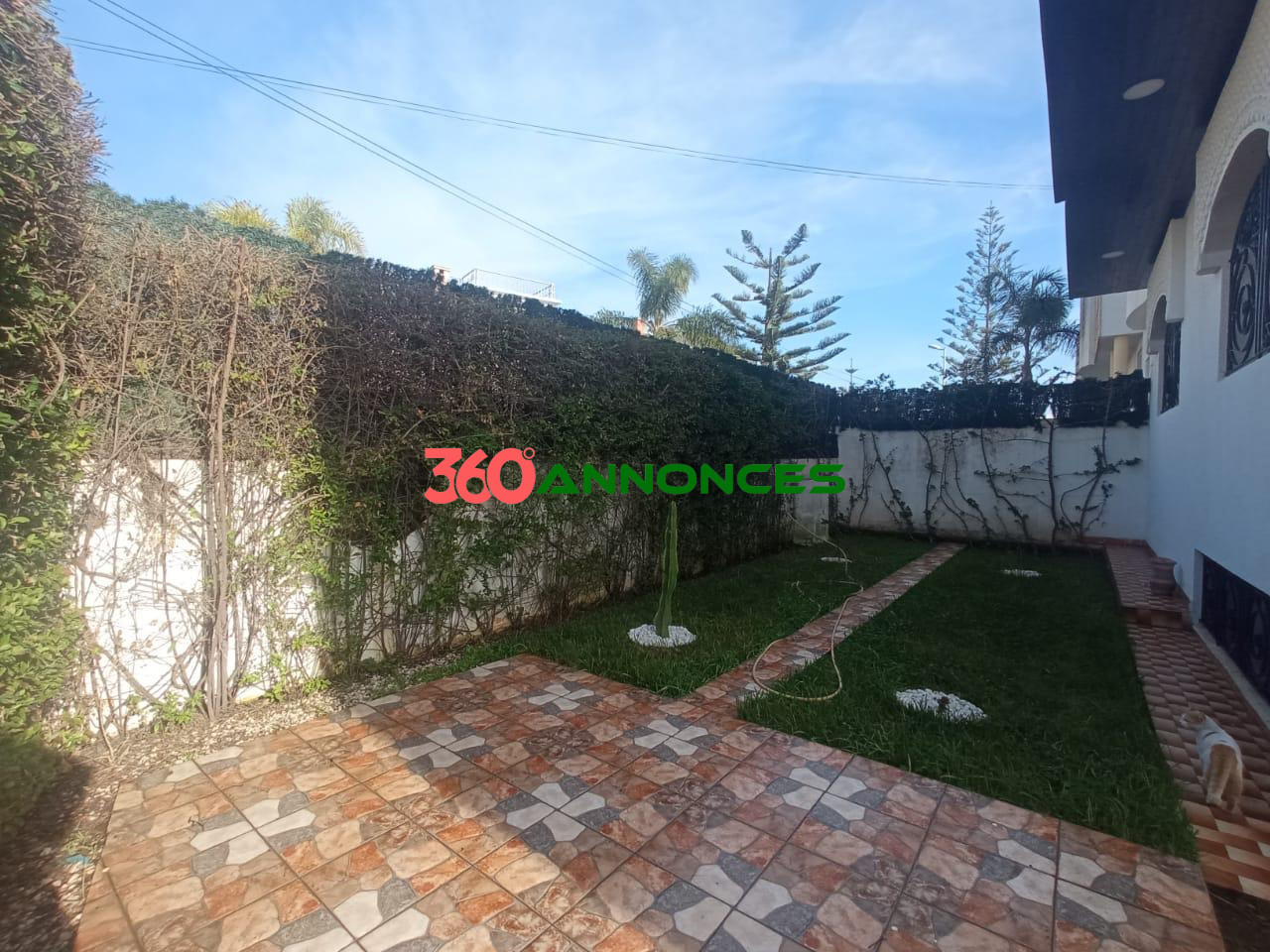 Image Properties Mobile